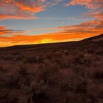 Steve Austin Instagram - Back home after spending a few days with @nevadahuntingservices in unit 012. Goddam, what a blast. Mitch is a helluva guide and it seems every adventure is more epic than the one before.. Thank you, brother Mitch. Looking forward to the next one. #nevada #muledeer #deer #usa #america #horses #hunting #camping #outdoors #nevadahuntingservices