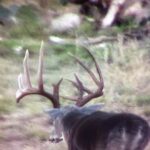 Steve Austin Instagram - Broken Skull Ranch Tilden, TX #tbt #texas