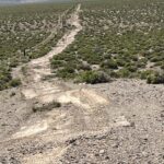 Steve Austin Instagram - Clearing Nevada sage brush is very different from South Texas brush country. Slow going, but it’s very relaxing. @schererkubota #desert #4x4 #tractor #kubota Alice In Chains Would?