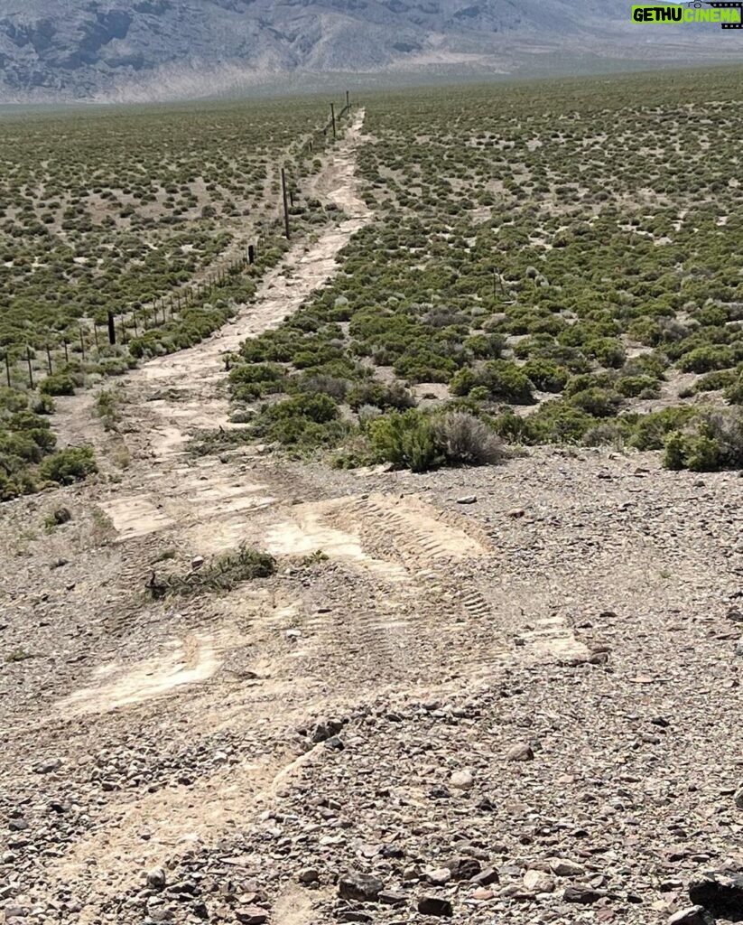 Steve Austin Instagram - Clearing Nevada sage brush is very different from South Texas brush country. Slow going, but it’s very relaxing. @schererkubota #desert #4x4 #tractor #kubota Alice In Chains Would?