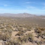 Steve Austin Instagram - BFE, Nevada #desert #4x4 #kawasaki #krx1000 @kawasakiusa Boston Long Time