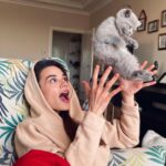 Sude Zülal Güler Instagram - Shera’dan sonra hayatıma bir psikopat daha girdi🤍 Hoşgeldin #arisathepsychocat