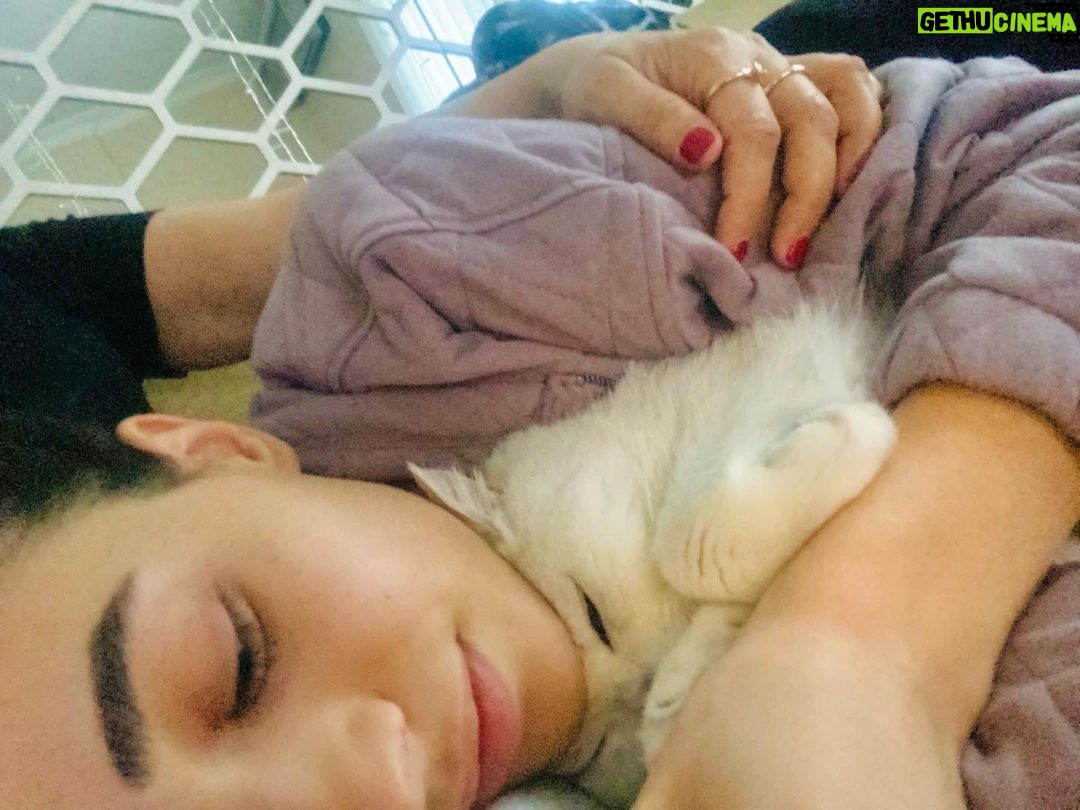 Sude Zülal Güler Instagram - Bu fotoğrafı çok seviyorum, baktığım zaman bana huzur ve güven veriyor. Kucağımda Shera, omzumda annemin eli. Hala eli omzumda biliyorum, ama bilmek yetmiyor bazen tıkanıyorum, yoruluyorum, üzülüyorum. Annem ağladığımı üzüldüğümü gördüğü her an kızıyor bana biliyorum. Bu yüzden toparlanmaya çalışıyorum. Hayatımın en zor senesiydi bu sene, ama dersler verdi hayat, annem gidişiyle bile onu tanıyan tanımayan herkese dersler verdi. Hayatınızda tanıyabileceğiniz en inançlı en temiz kalpli insandı, bir gün olsun pes etmedi. Yokluğun kalbimin tam orta yerinde anne. Kocaman bir boşluk. Sensiz geçecek hiçbir bayrama, ne yaza ne kışa hazır değilim. Sana minnettarım anne. Teşekkür ederim her an için öğrettiklerin için iyi ki iyi ki benim annemsin. Soluğun hala yanağımda. Seni çok seviyorum🤍