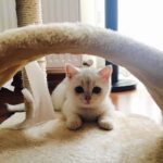 Sude Zülal Güler Instagram - naber?