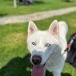 Sude Zülal Güler Instagram - North💫♥️