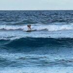 Sue Ramirez Instagram - A carousel of cherished memories 🌊✨ Siargao Island, Philippines