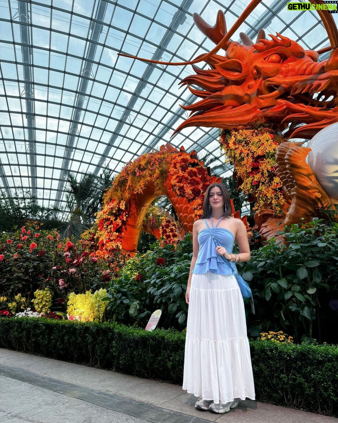 Sue Ramirez Instagram - Kung Hei Fat Choi 🧧🐉 Manifesting a properous year ahead! May the year of the dragon bring you good health, abundant blessings and success! Happy Lunar New Year to everyone! 🎇✨ #CNY2024 Flower Dome