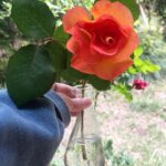 Sugar Lyn Beard Instagram - keep it simple fall in love