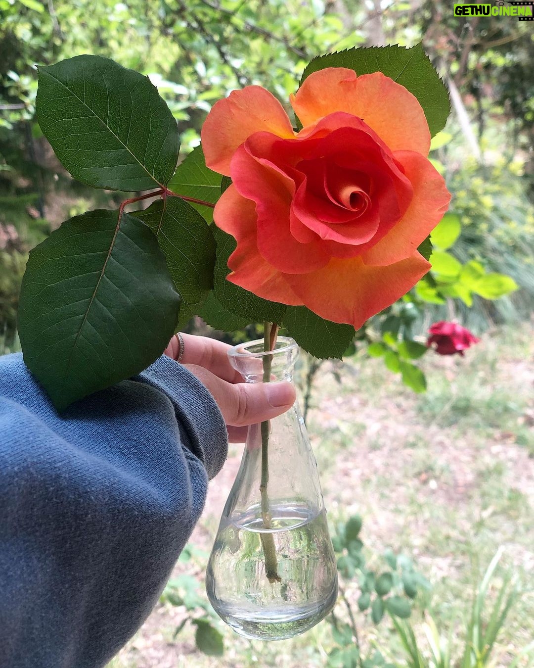 Sugar Lyn Beard Instagram - keep it simple fall in love