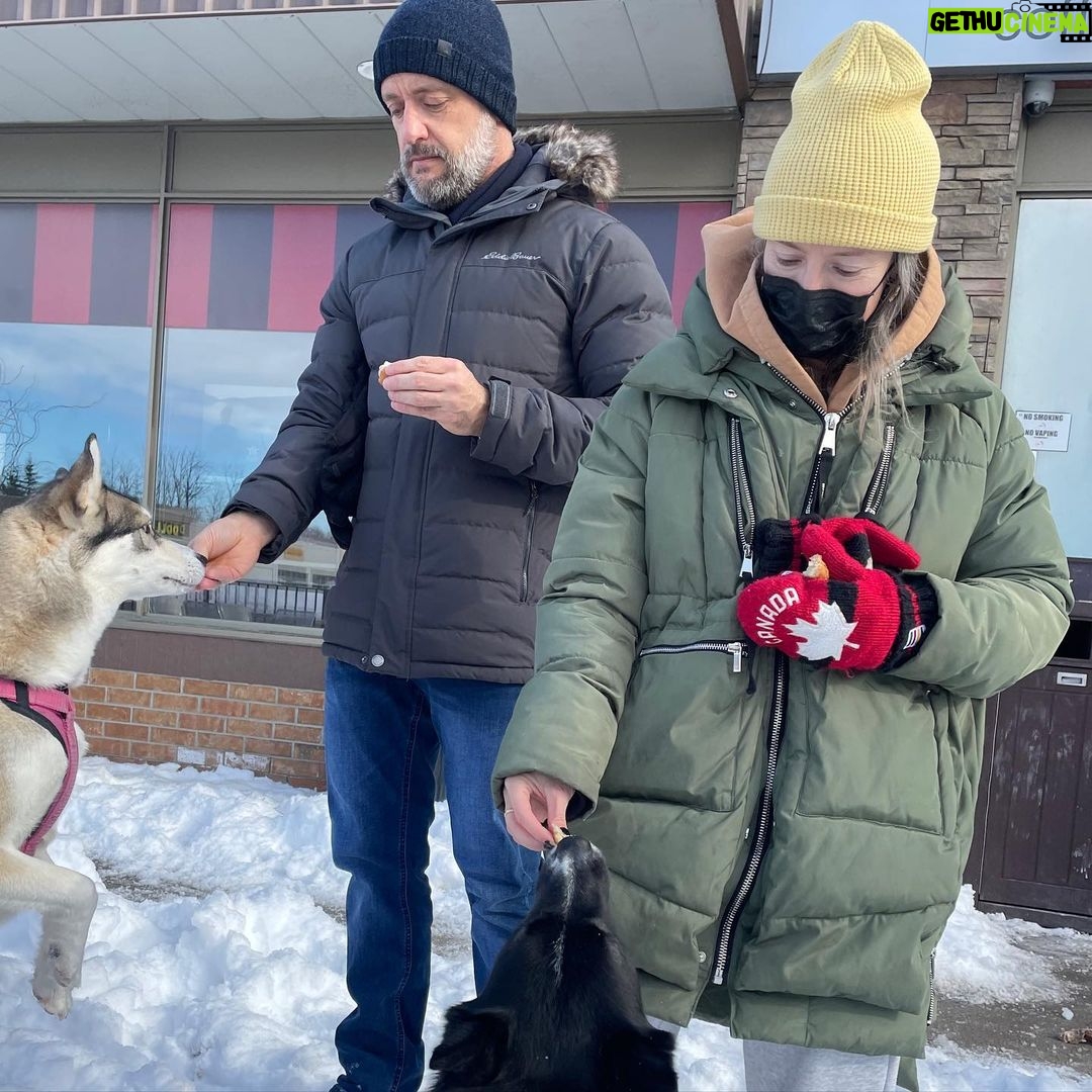 Sugar Lyn Beard Instagram - This is what happens when you raise your Husky in Southern California. Swipe for Oliver Boi’s emotional journey. #joypost4u