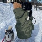Sugar Lyn Beard Instagram - This is what happens when you raise your Husky in Southern California. Swipe for Oliver Boi’s emotional journey. #joypost4u
