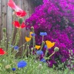 Sugar Lyn Beard Instagram - flower bombing ‘cause I love you and you deserve to see the most beautiful things
