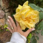 Sugar Lyn Beard Instagram - I love you