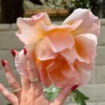 Sugar Lyn Beard Instagram - flower bombing ‘cause I love you and you deserve to see the most beautiful things