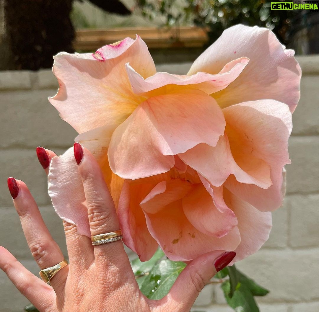 Sugar Lyn Beard Instagram - flower bombing ‘cause I love you and you deserve to see the most beautiful things