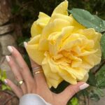 Sugar Lyn Beard Instagram - flower bombing ‘cause I love you and you deserve to see the most beautiful things