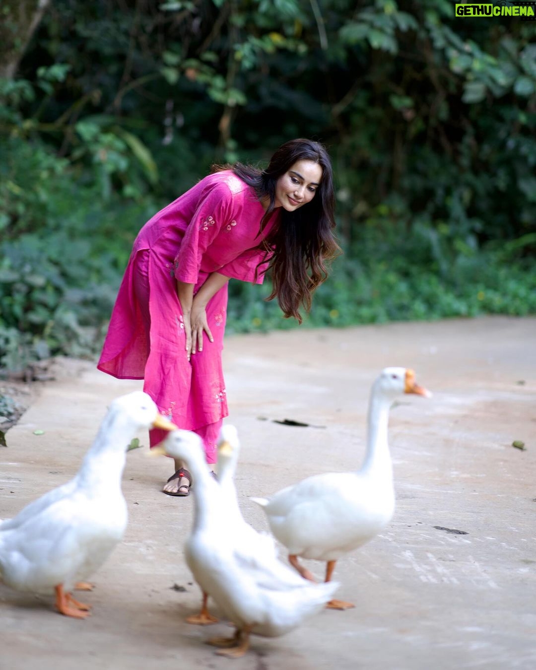 Surbhi Jyoti Instagram - You have to be quick with the quacks.... They don't like to be clicked.