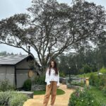 Surbhi Jyoti Instagram - Life lately 🌿