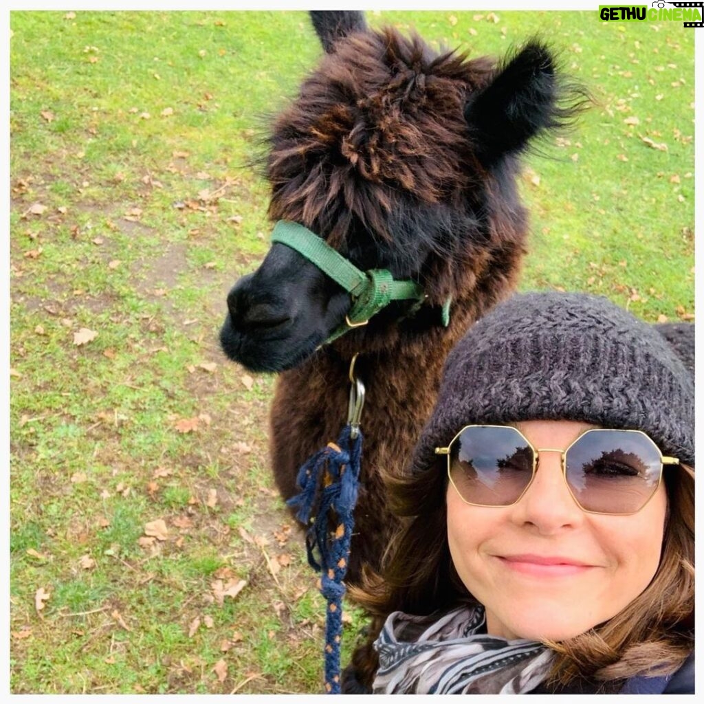 Susan Hoecke Instagram - “Schau einem Alpaka nicht zu lange in die Augen, du könntst dich verlieben” - wir haben uns quasi ignoriert!