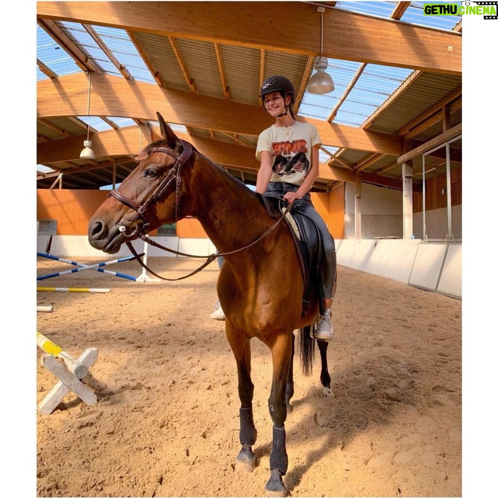 Susan Hoecke Instagram - Jetzt weiß ich woher „Du strahlst wie ein Honigkuchenpferd“ kommt!! Hab heute endlich mein Trauma überwunden und saß halbwegs aufrecht auf einem Pferd! Danke @utabynature - Du bist nicht nur die beste Agentin, sondern auch die beste Pferdeflüsterin💚