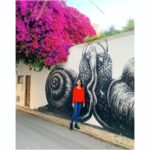 Susan Hoecke Instagram - Versnailt!