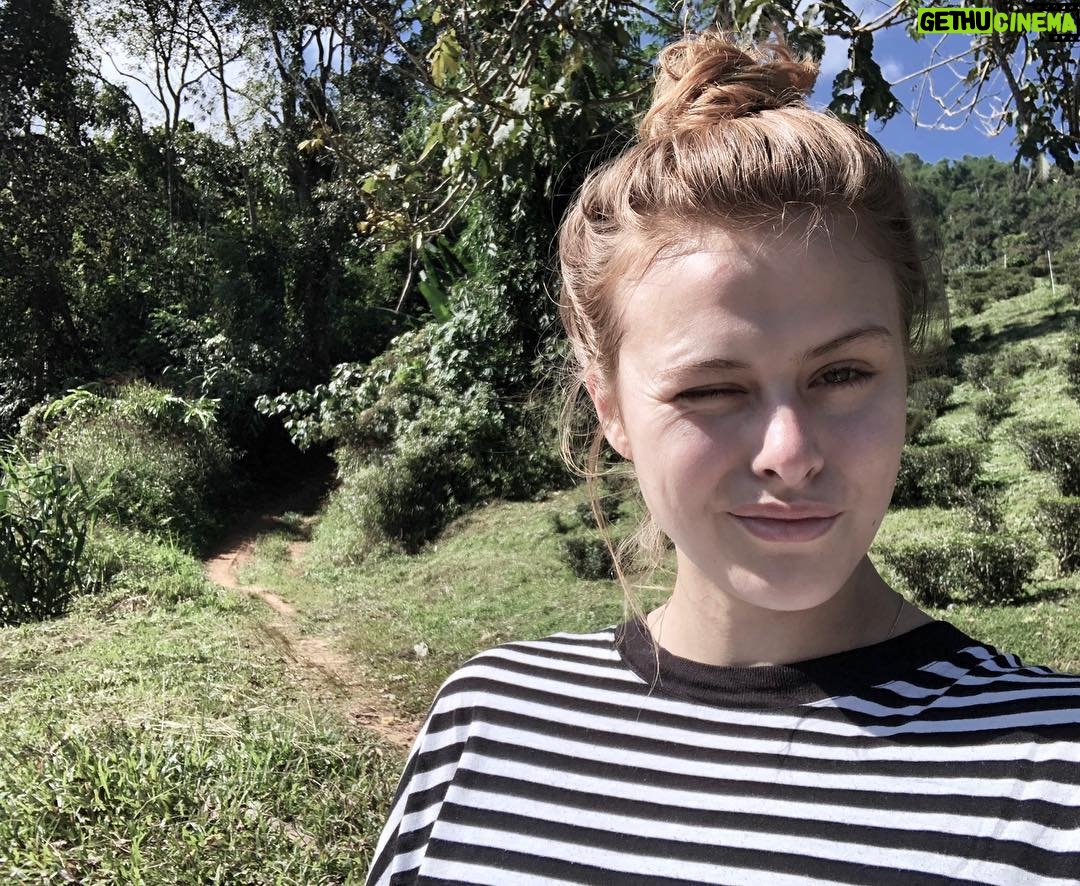 Susan Radder Instagram - Met de Chineze thee plantage.. klein Chinees dorpje midden in Thailand!🍃🍃 Chiang Rai Province