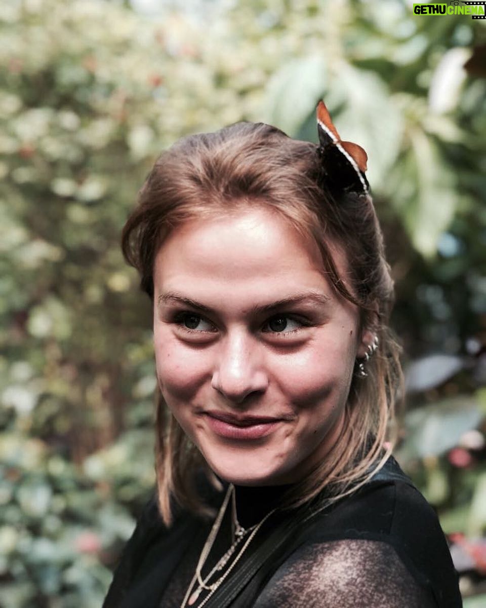 Susan Radder Instagram - Pure blijheid en angst in één..🦋🦋