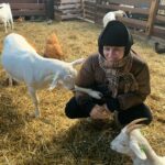 Susan Radder Instagram - Chilling with the Goats on my birth🍾
