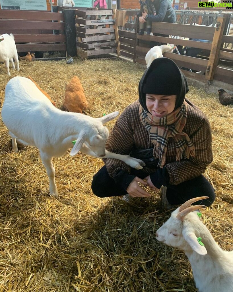 Susan Radder Instagram - Chilling with the Goats on my birth🍾