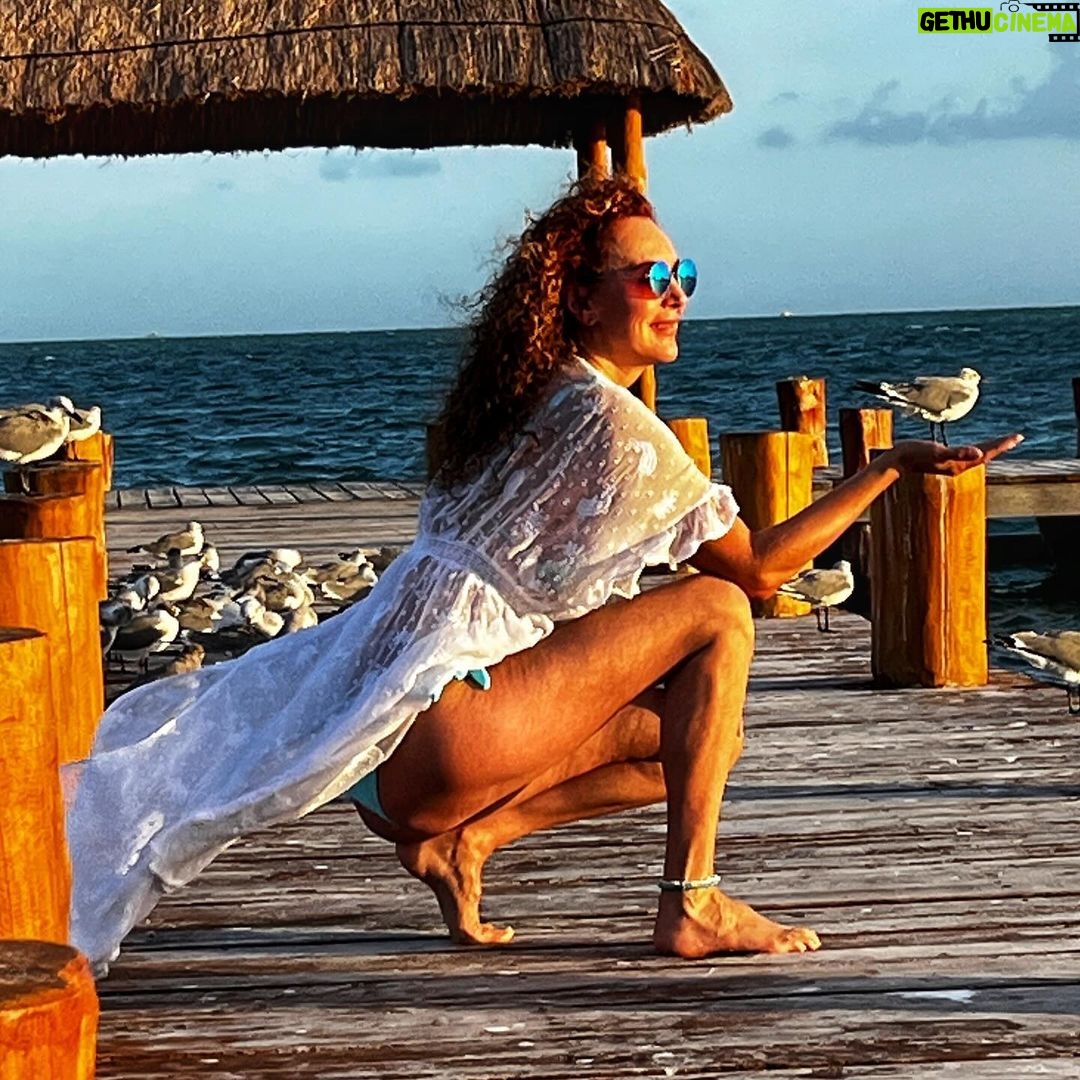 Susana Lozano - 254 Likes - 🌥️⛅️🌦️🌤️☀️
.
Mis amigas las gaviotas y yo… concentradas viendo…. Pa’llá… pal horizonte… pal sol… Pa’ delante ✨
.
#amanecer #sunrise #sunrise_and_sunsets #sunriselover #cancun #caribe #caribemexicano #bikini #sol #mar #arena #amaneceres #susanalozano