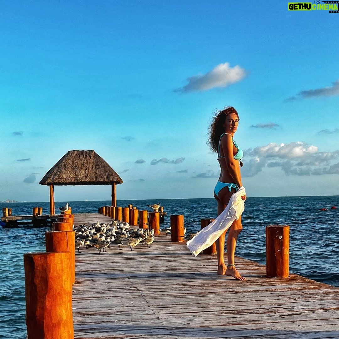 Susana Lozano - 254 Likes - 🌥️⛅️🌦️🌤️☀️
.
Mis amigas las gaviotas y yo… concentradas viendo…. Pa’llá… pal horizonte… pal sol… Pa’ delante ✨
.
#amanecer #sunrise #sunrise_and_sunsets #sunriselover #cancun #caribe #caribemexicano #bikini #sol #mar #arena #amaneceres #susanalozano
