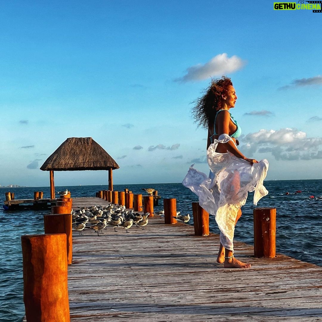 Susana Lozano - 254 Likes - 🌥️⛅️🌦️🌤️☀️
.
Mis amigas las gaviotas y yo… concentradas viendo…. Pa’llá… pal horizonte… pal sol… Pa’ delante ✨
.
#amanecer #sunrise #sunrise_and_sunsets #sunriselover #cancun #caribe #caribemexicano #bikini #sol #mar #arena #amaneceres #susanalozano