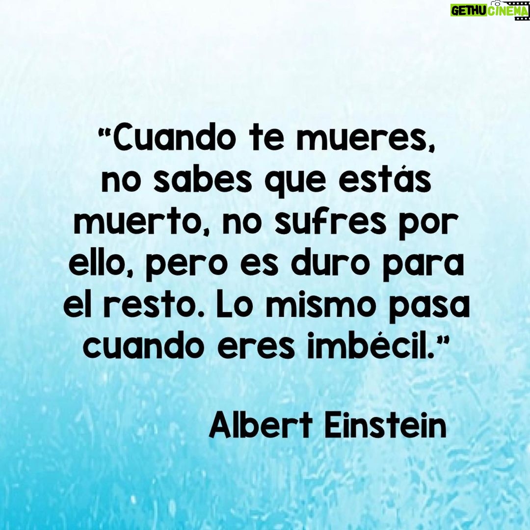 Susana Lozano Instagram - Dice el maravilloso #einstein . 🙄🤣 . Feliz semana!! #lunes #felizlunes #monday #happymonday #alberteinstein #einsteinquotes #quotes #frases #frasesdeeinstein