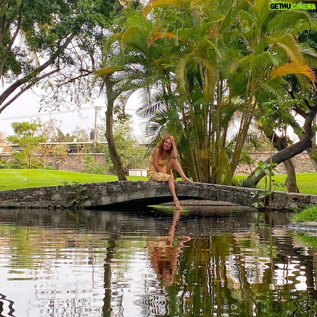 Susana Lozano - 215 Likes - Donde la naturaleza es la reina… y te integras a lo perfecto del lugar…
.
☀️🌴🌺🌿🌈
.
Me pueden encontrar en donde pueda andar descalza 👣
.
#happyplace #lago #puente #soleado #naturaleza #barefeet #piesdescalzos #susanalozano