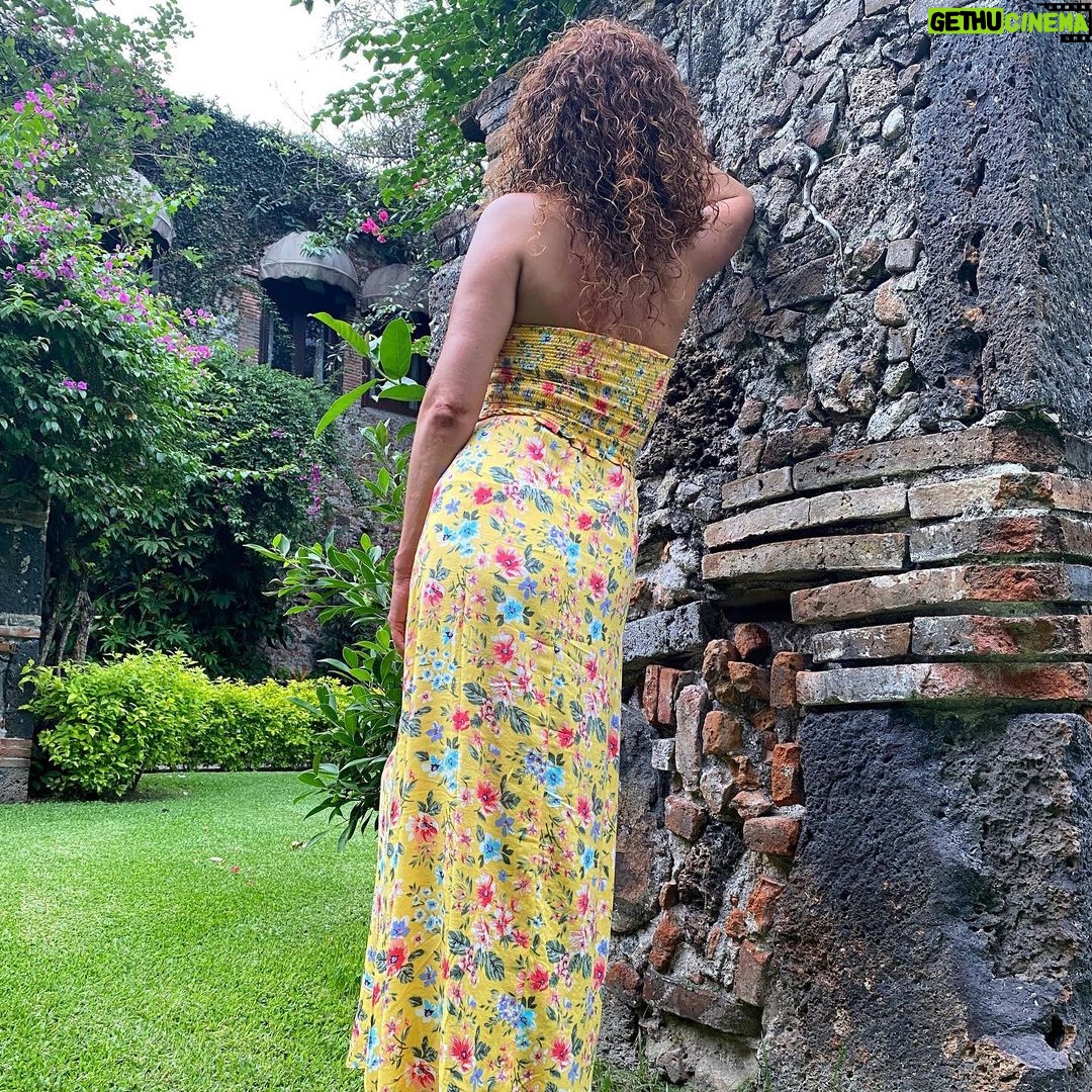 Susana Lozano - 215 Likes - Donde la naturaleza es la reina… y te integras a lo perfecto del lugar…
.
☀️🌴🌺🌿🌈
.
Me pueden encontrar en donde pueda andar descalza 👣
.
#happyplace #lago #puente #soleado #naturaleza #barefeet #piesdescalzos #susanalozano