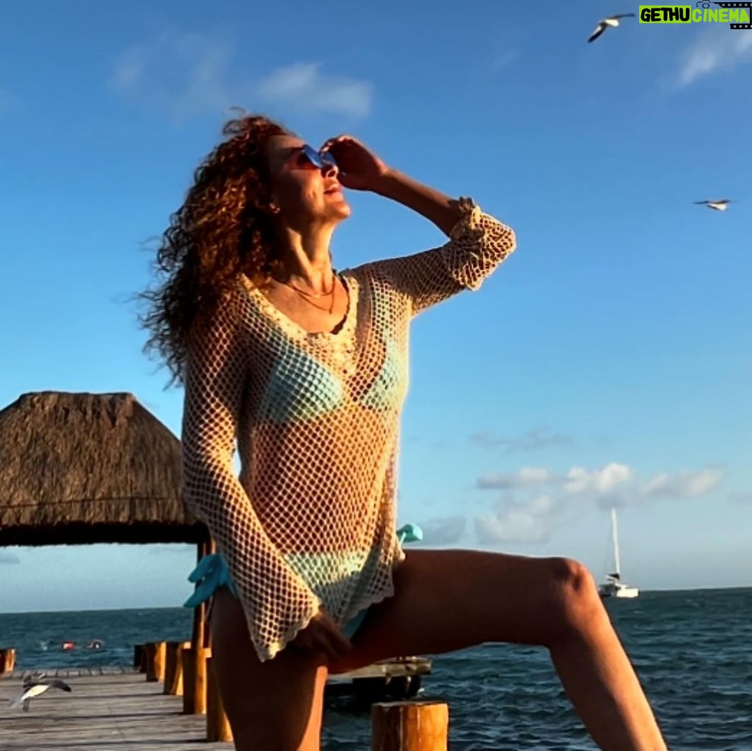 Susana Lozano - 250 Likes - Vive hoy, no mañana…
Bonita la vida es 🎶
.
🌊🌈☀️
.
Momentos. Inolvidables.
La maravillosa vida.
#sol #amanecer #nuevodia #lavidabonita #bikini #mar #ocean #sea #sunrise #newday #susanalozano #vive #difruta #sljotime #cancun #caribe #caribemexicano #arena #arenasuave #poesdescalzos #pieslindos