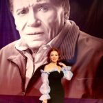 Suzan Negm ElDein Instagram - وماأجملَ أن يكونَ المسرح في كنف الزعيم #عادل_إمام مساؤكم حب❤️حياة . . . #مهرجان_المسرح_القومي_المصري #مصر #سوريا #سوزان_نجم_الدين . . #suzan_najm_aldeen #lovelife #syria #egypt مصمم الشعر @maherderke ❤️ #photographer @shodshod.official Cairo, Egypt