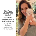 Suzanne Somers Instagram - Don’t miss TODAY’S 12/22 IGTV + Facebook LIVE at 4pm PT (7pm ET) for @carolinesomers’ birthday celebration with the family! We hope to see you there!! Los Angeles, California
