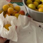 Suzu Yamanouchi Instagram - 本日ひたすら梅の下処理 梅干し作るぞーい