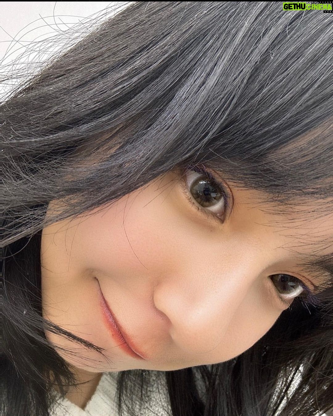 Suzu Yamanouchi - 8.8K Likes - 山之内がイメージモデルをさせていただいているベルミー( @belleme.official )が1周年を迎えました!!!!!!!🫶
ほんとにこの1年毎日つけていたベルミー、まだ試してない人、いないですよね、、?😳
今回改めて5色の山之内的感想述べていきます!!
自分に合う色をぜひ選んでみてね!
ヘーゼルリング
ナチュラルなのに目がクリッとはっきりする個人的イチオシカラー!!!
どんな服装にも合う、というか元々この色だった気さえする。ってくらい馴染む🫶
ティアーブラウン
いっちばんナチュラル!!
なのに目がうるっと輝くからすっぴんでも違和感ないしとにかくおめめちゅるちゅるになります!!
ピーチブラウン
可愛いお洋服だったり雰囲気柔らかくしたいときはこれがいちおし!!!
山之内は黒目まっくろなんやけど、ナチュラルに色素薄く見えてすごく好き
オリーブブラウン
真っ黒お目目でも馴染みやすいオリーブカラー!!
かっこいい服装の時とかはオリーブブラウンつけるとよりオシャレ度あがってすき
ベルブラウン
1番茶色くなる!!
明るい印象になる気がする、夏はカラフルなお洋服着たくなるからよりベルブラウンが映えるなー!
#ベルミー #belleme #カラコン #カラコンレポ #ナチュラルカラコン #pr
―――
※装用時の見え方には個人差があります
※個人の感想です
販売名:SPワンデー H-UVC
承認番号:22900BZX00423000
―――
