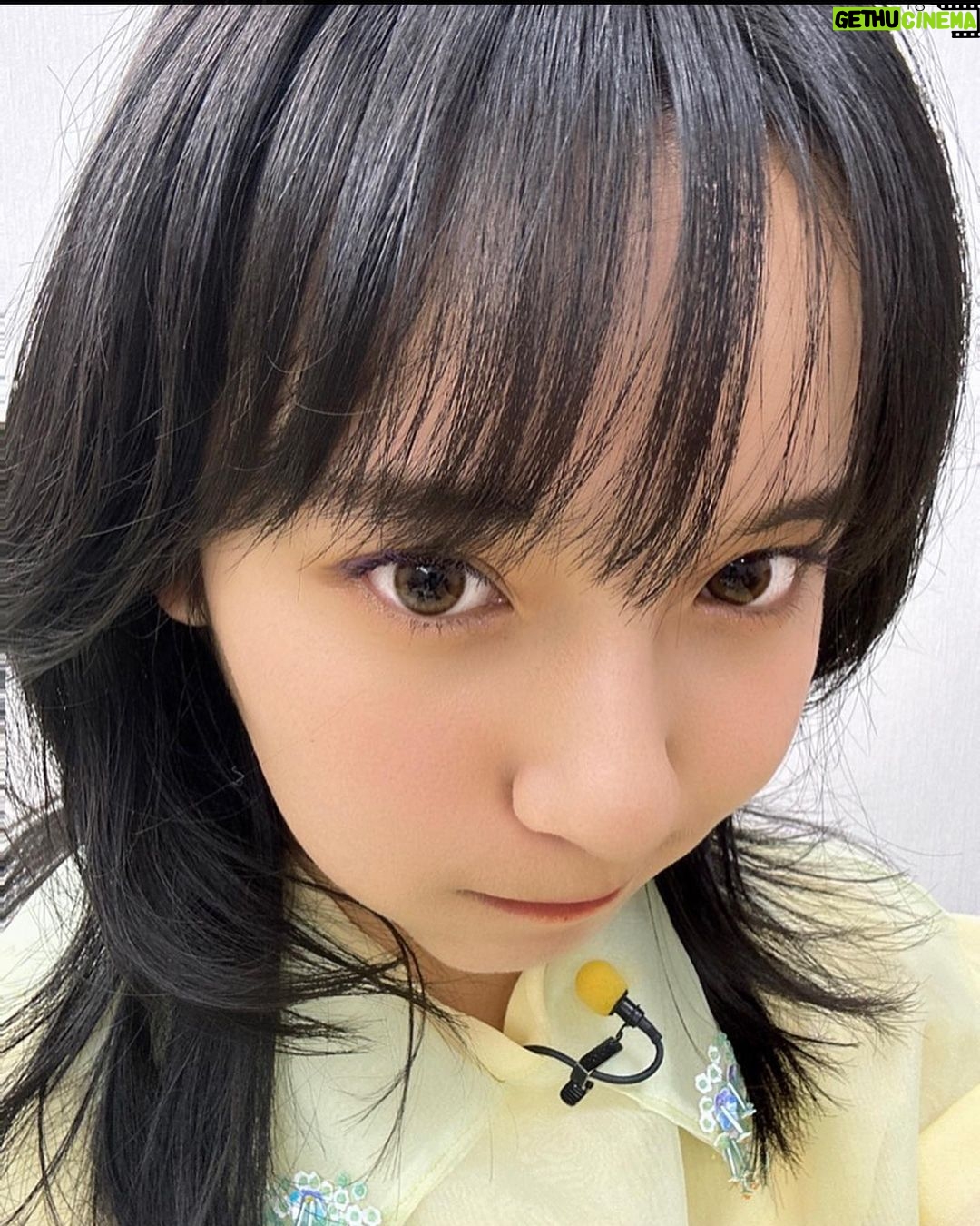 Suzu Yamanouchi - 8.8K Likes - 山之内がイメージモデルをさせていただいているベルミー( @belleme.official )が1周年を迎えました!!!!!!!🫶
ほんとにこの1年毎日つけていたベルミー、まだ試してない人、いないですよね、、?😳
今回改めて5色の山之内的感想述べていきます!!
自分に合う色をぜひ選んでみてね!
ヘーゼルリング
ナチュラルなのに目がクリッとはっきりする個人的イチオシカラー!!!
どんな服装にも合う、というか元々この色だった気さえする。ってくらい馴染む🫶
ティアーブラウン
いっちばんナチュラル!!
なのに目がうるっと輝くからすっぴんでも違和感ないしとにかくおめめちゅるちゅるになります!!
ピーチブラウン
可愛いお洋服だったり雰囲気柔らかくしたいときはこれがいちおし!!!
山之内は黒目まっくろなんやけど、ナチュラルに色素薄く見えてすごく好き
オリーブブラウン
真っ黒お目目でも馴染みやすいオリーブカラー!!
かっこいい服装の時とかはオリーブブラウンつけるとよりオシャレ度あがってすき
ベルブラウン
1番茶色くなる!!
明るい印象になる気がする、夏はカラフルなお洋服着たくなるからよりベルブラウンが映えるなー!
#ベルミー #belleme #カラコン #カラコンレポ #ナチュラルカラコン #pr
―――
※装用時の見え方には個人差があります
※個人の感想です
販売名:SPワンデー H-UVC
承認番号:22900BZX00423000
―――