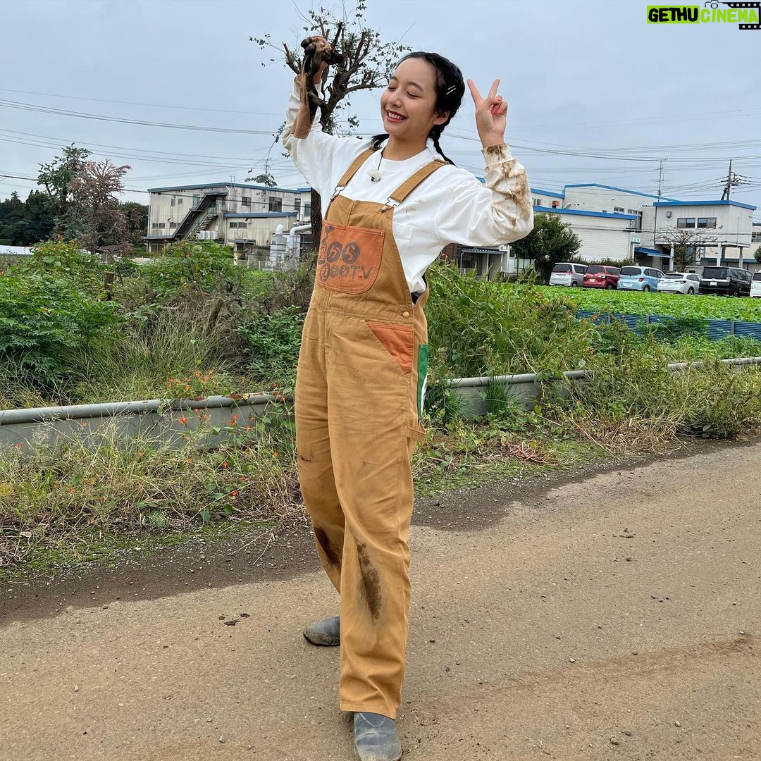 Suzu Yamanouchi - 8.3K Likes - いやーしっかり太りました!正月太り!
1.5キロで済んだことが奇跡
また今日から頑張る!!!
これは全然関係ない種から植えるTVの過去出演回の写真✌️
この日食べさせてもらったカブが美味しすぎて山之内飯にカブ登場する率が50倍くらいになりました幸
どろんこになれるお仕事って嬉しい