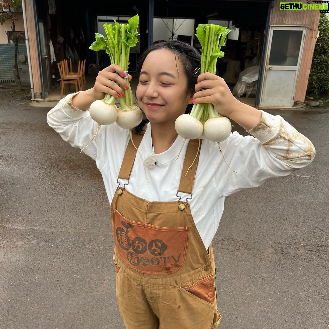 Suzu Yamanouchi - 8.3K Likes - いやーしっかり太りました!正月太り!
1.5キロで済んだことが奇跡
また今日から頑張る!!!
これは全然関係ない種から植えるTVの過去出演回の写真✌️
この日食べさせてもらったカブが美味しすぎて山之内飯にカブ登場する率が50倍くらいになりました幸
どろんこになれるお仕事って嬉しい