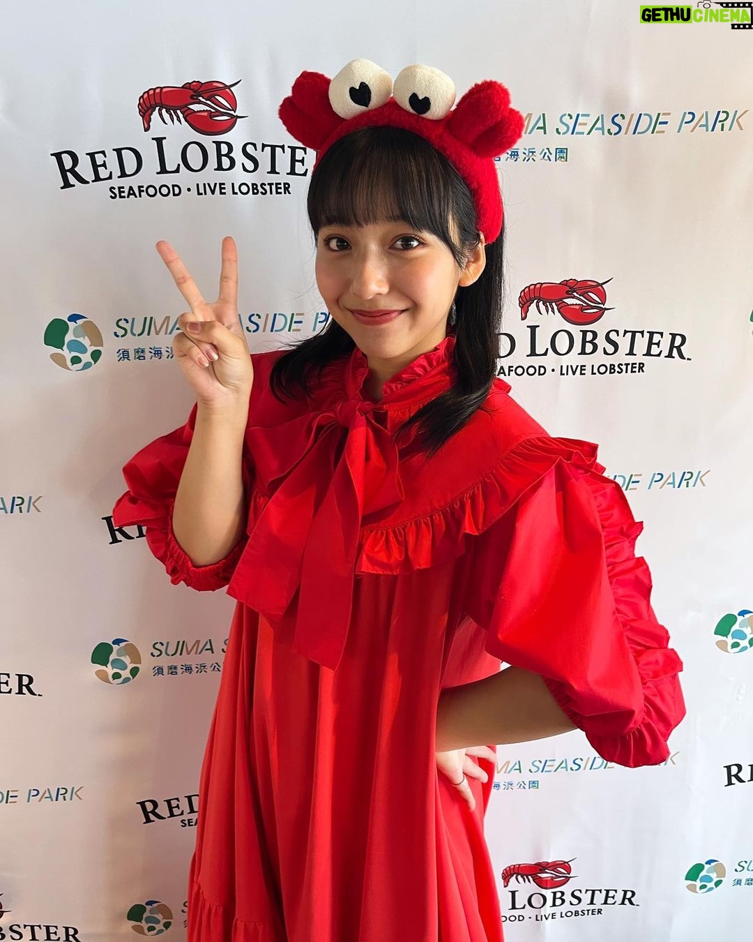 Suzu Yamanouchi Instagram - 最近の衣装たち👗💫 【関西テレビ よ~いドン!(7/12生放送】 ・トップス、ワンピース @rrr_tokyo 【DAMチャンネル(8月配信)】 ・ブラウス @__treat.urself__ ・ワンピース @poppy_tokyo 【バチェラー座談会】 ・トップス @_estella.k_ 【TBS ひるおび(8/14生放送)】 ・トップス @_estella.k_ 【レッドロブスター記念イベント】 ・ワンピース @candystripper_official 【ABEMA 波乗り全速!ブレインターン!!!!!】 ・ワンピース @avie_andensal 【毎日放送 水野真紀の魔法のレストラン】 ・セットアップ @poppy_tokyo ・キャミソール @__treat.urself__ 【ABCテレビ・テレビ朝日系 朝だ!生です旅サラダ】 ・ブラウス @violettaofficial_jp ・チュールスカート @labelleetude_official 【TBS ひるおび(10/30生放送)】 ・セットアップ @manana_suerte 【DAMチャンネル(11月配信)】 ・セットアップ @janemarple_official