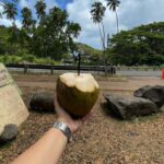 Suzy Antonyan Instagram - Hawaii photo dump!!!! 🌺🏝 Maui Hawaii