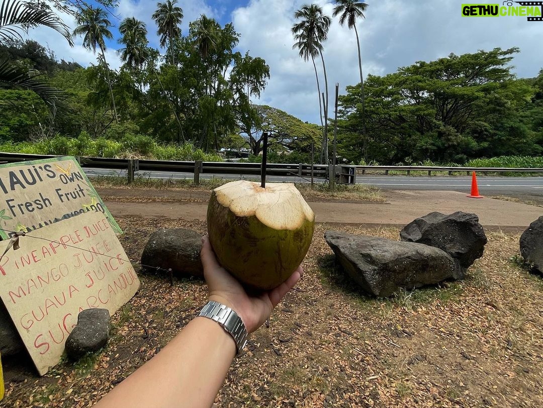 Suzy Antonyan Instagram - Hawaii photo dump!!!! πΊπ Maui Hawaii