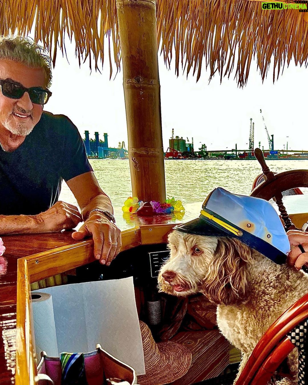 Sylvester Stallone Instagram - Captain Buster searching for treasure!