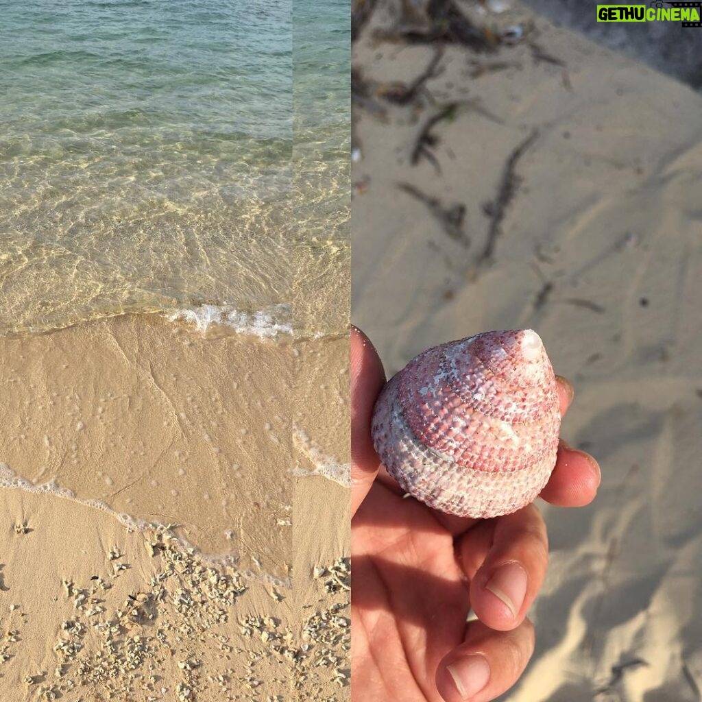 Syuya Sunagawa Instagram - うーみー。なんで貝殻載せたかは自分でもわからん。😃 #沖縄##海#恩納村#モデル仲間