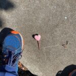 T.J. Thyne Instagram - Back out on walks, and thus the “Love is All Around ❤️” series continues. Many of you were soooo sweet, knowing I wasn’t able to get out as much, you found some of your own, to share with me! Here are a couple from my adventures and a few from yours (and even one from my own amazing niece, whom I adore,😊😊) keep your eyes open! It’s all around! ❤️