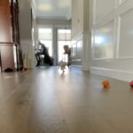 T.J. Thyne Instagram – Puppy sitting my sister & her beau’s newest addition JoJo. 🐶 I don’t wanna give her back! ❤️Ok JoJo, lets shoot an action movie…ready…set…go! 🍿 🎥 #puppiesofinstagram #puppy #rescuedog